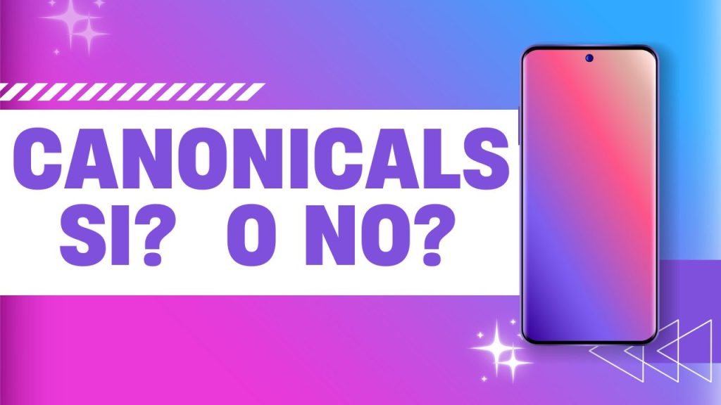 etiquetas-canonical
